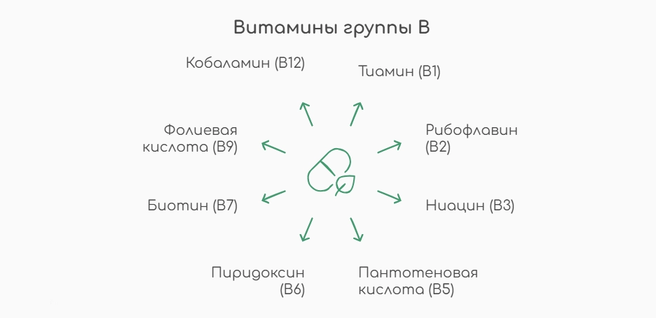 Витамины группы В (инфографика)